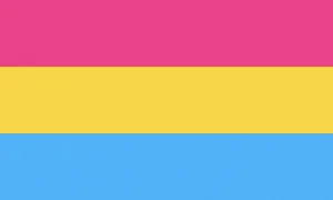 Pansexual flag