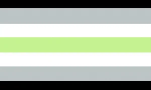 Genderfluid/Genderflexible Flag