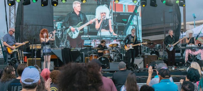 Mock Lobster - Austin's Tribute to the B-52s, tribute artist – photo 3 of 3